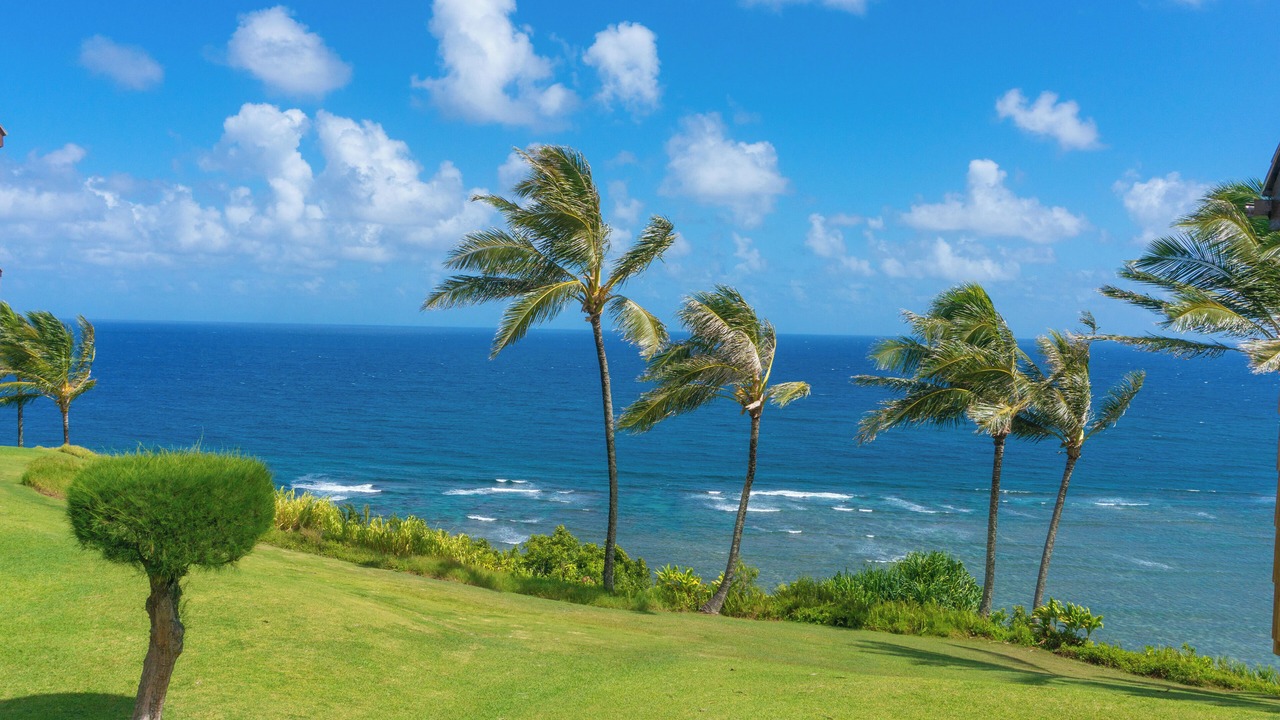 Photo of Others in Princeville