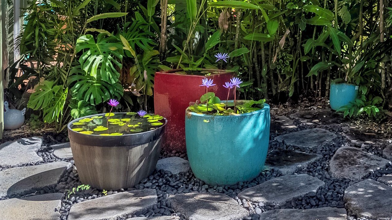 Photo of Others in Princeville