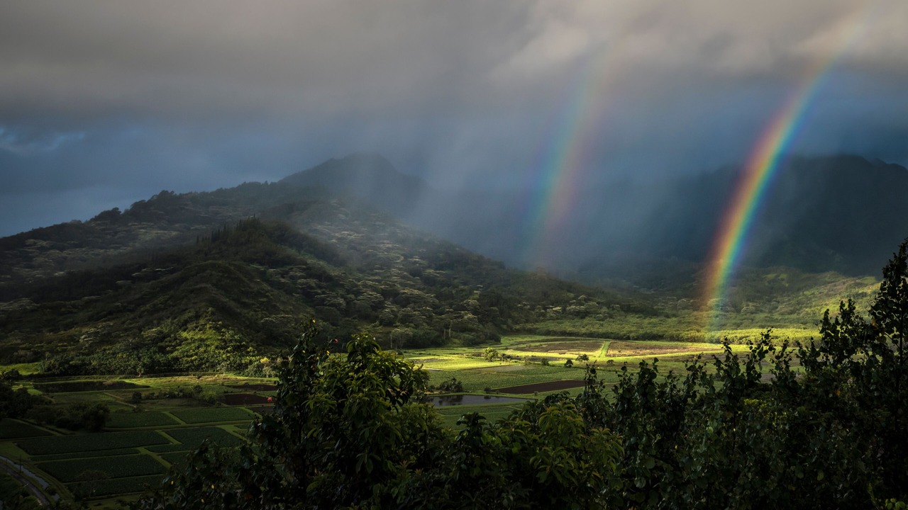 Photo of Others in Princeville