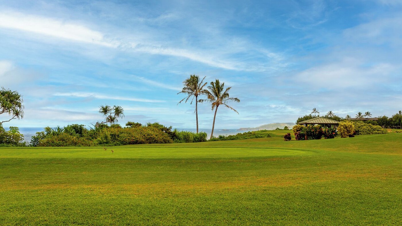Photo of Others in Princeville