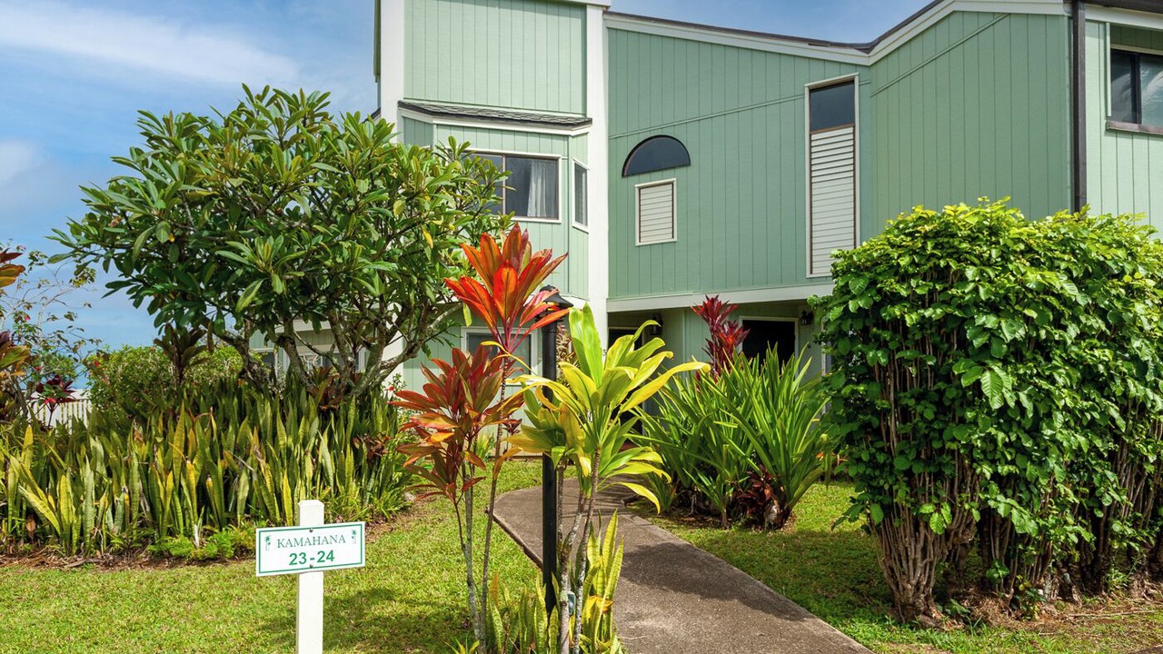 Photo of Outdoor in Princeville