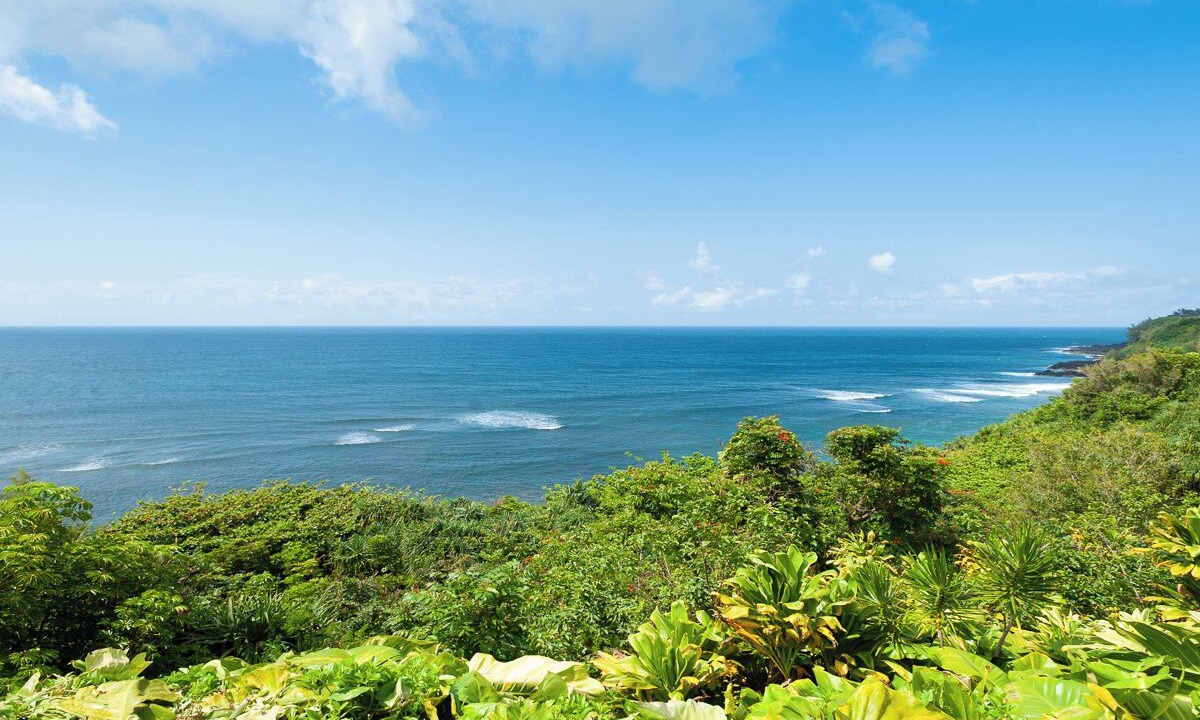 Photo of Others in Princeville