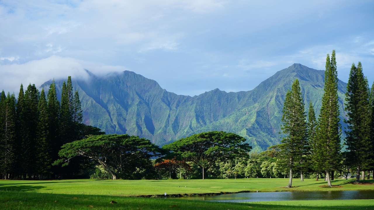 Photo of Others in Princeville