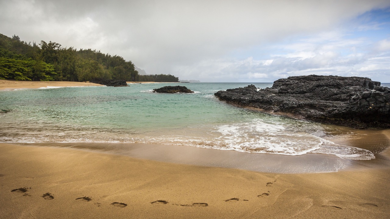 Photo of Others in Princeville