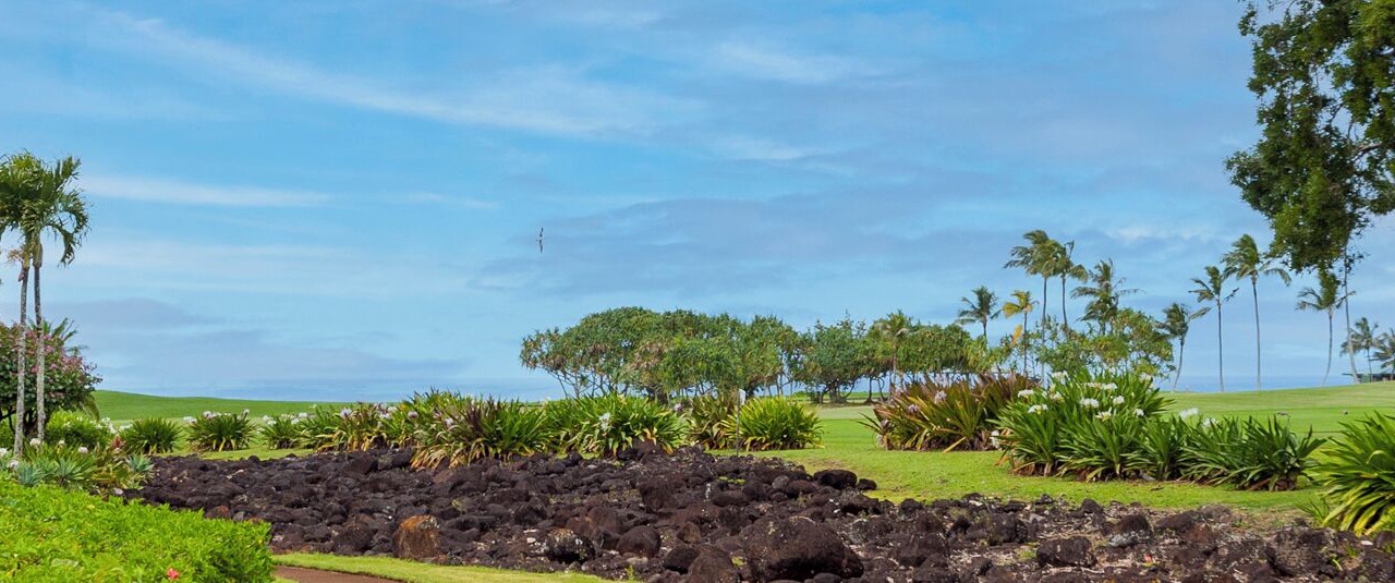 Photo of Outdoor in Princeville