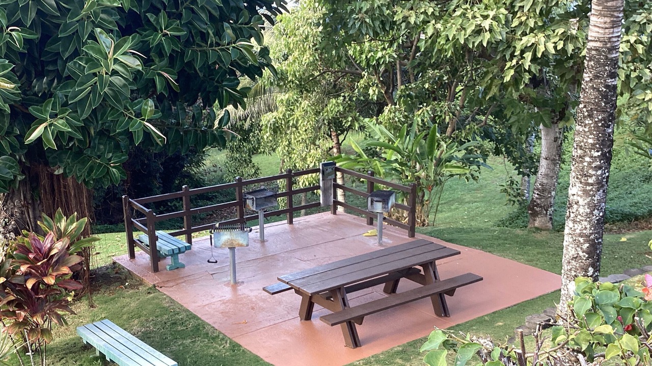 Photo of Outdoor in Princeville