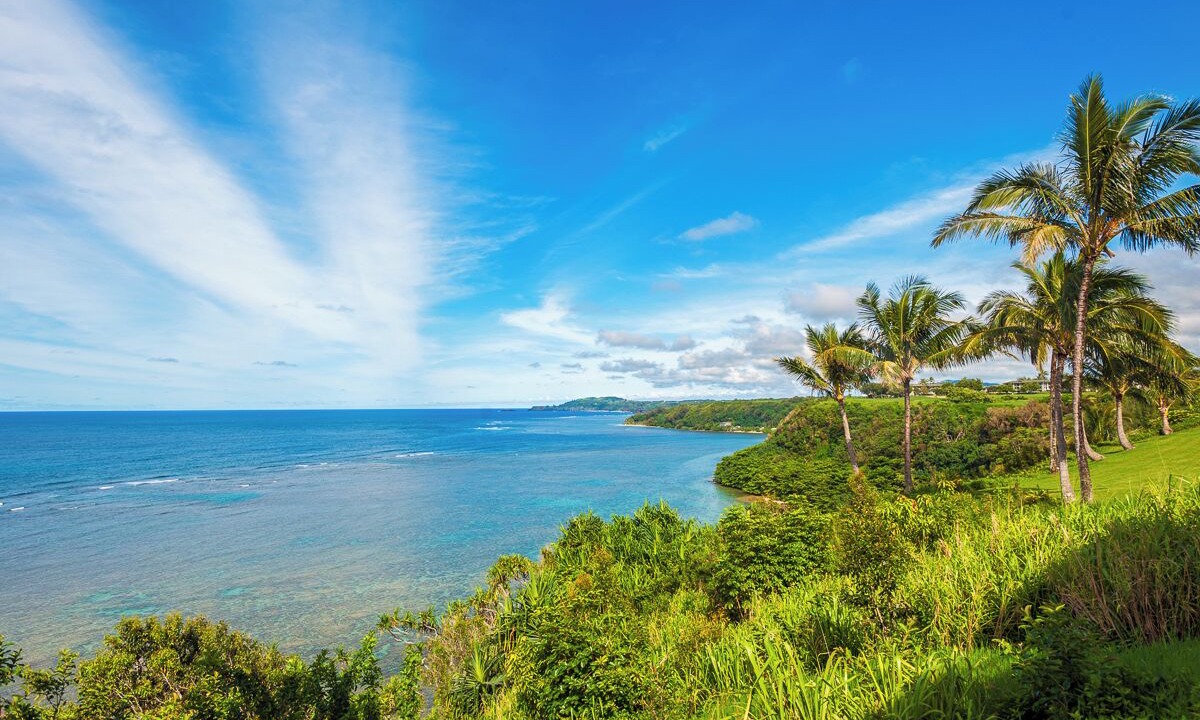 Photo of Others in Princeville