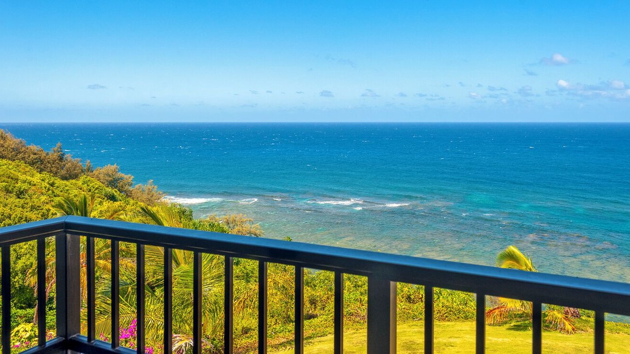 Photo of Others in Princeville