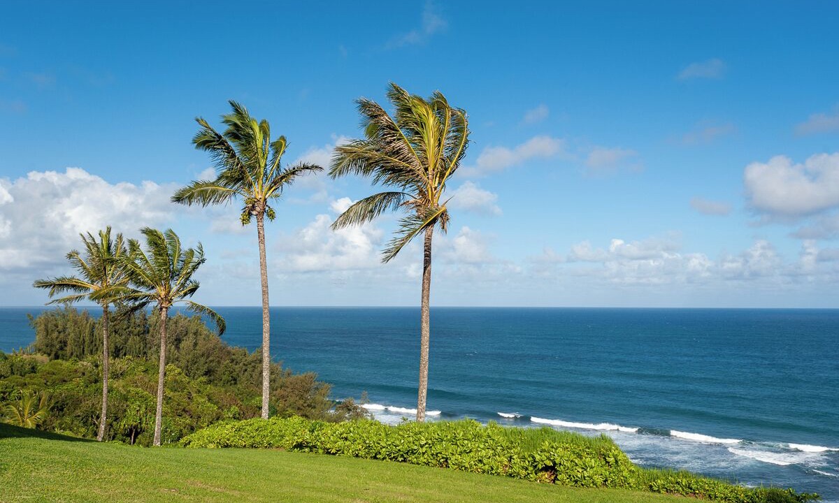 Photo of Outdoor in Princeville