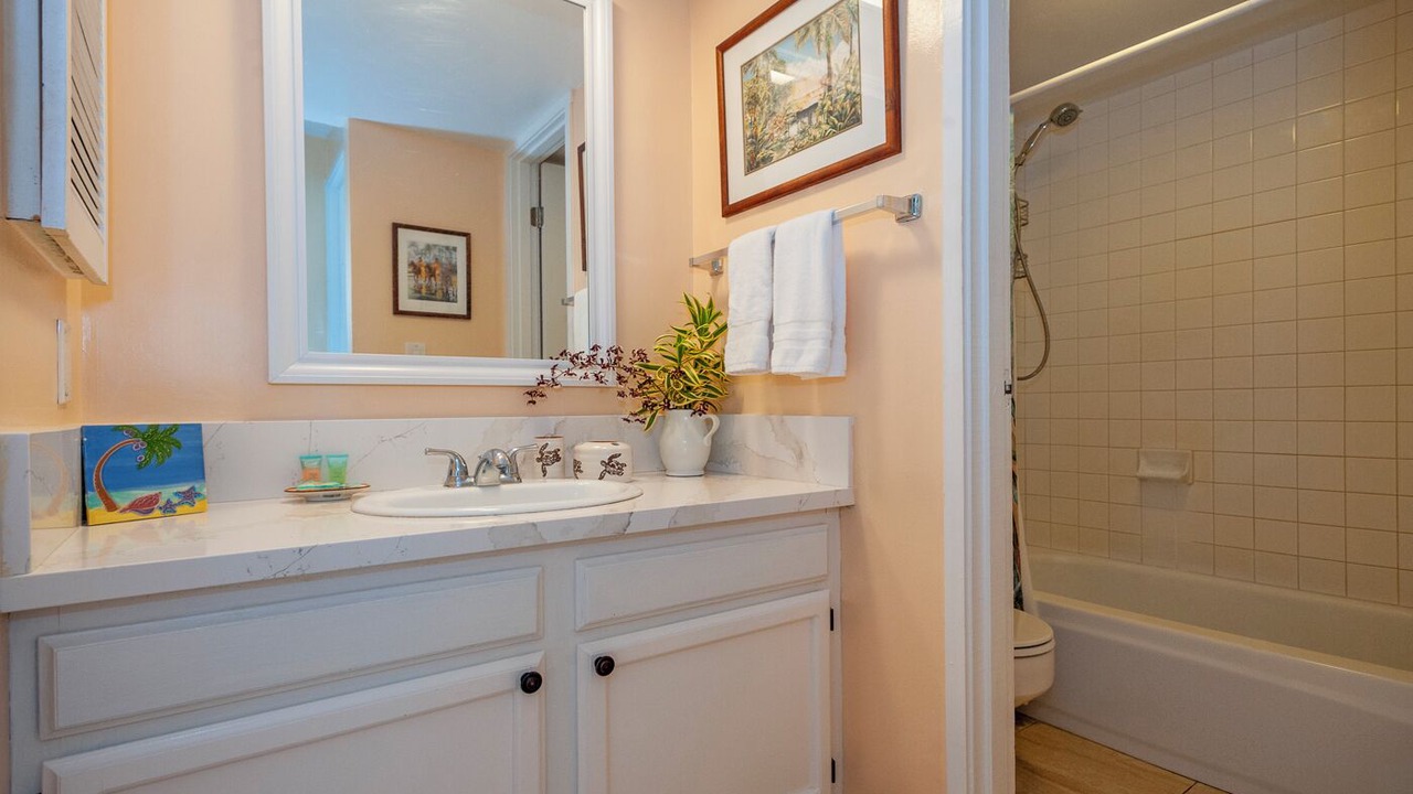 Photo of Bathroom in Princeville