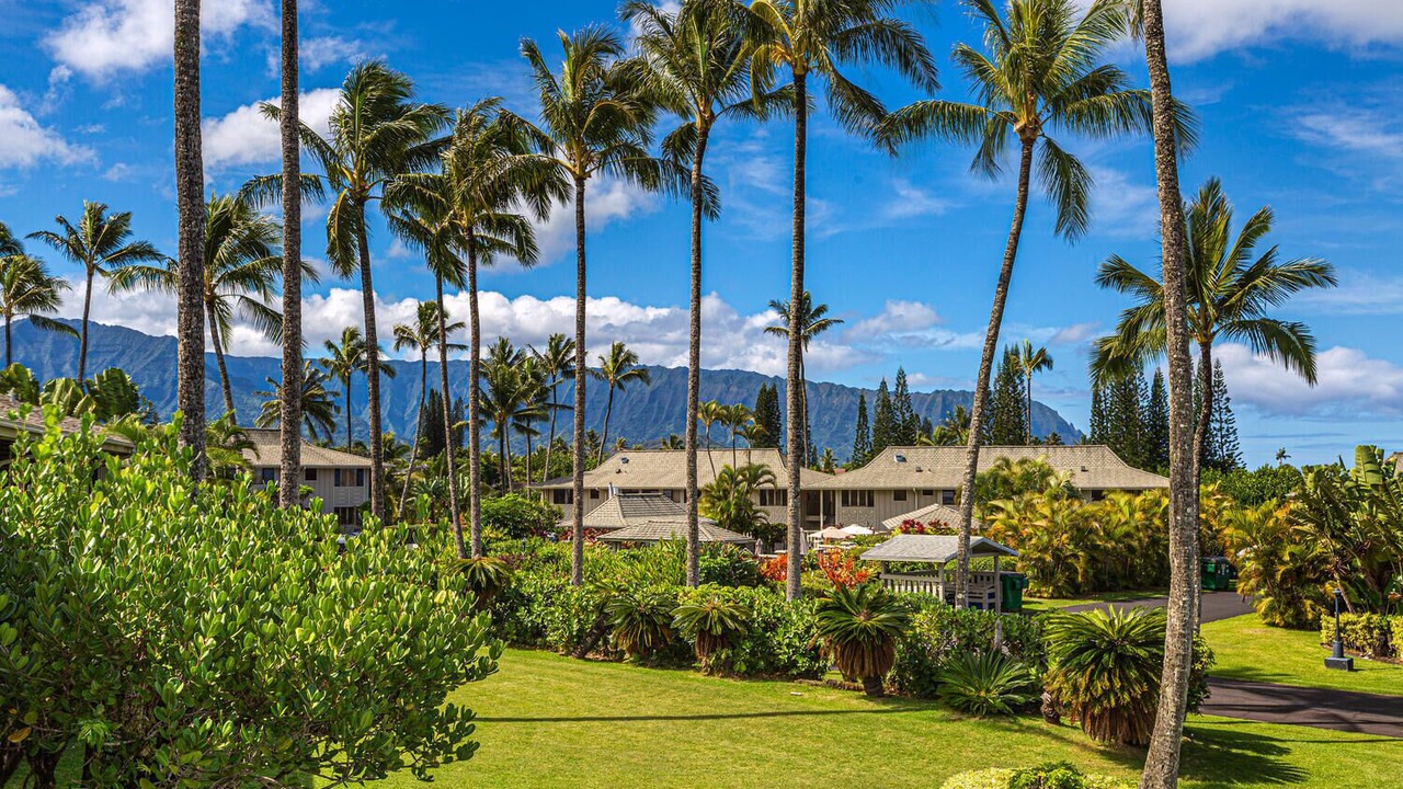 Photo of Outdoor in Princeville