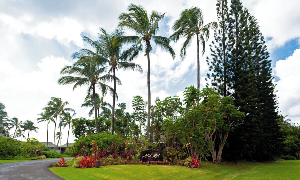 Photo of Outdoor in Princeville