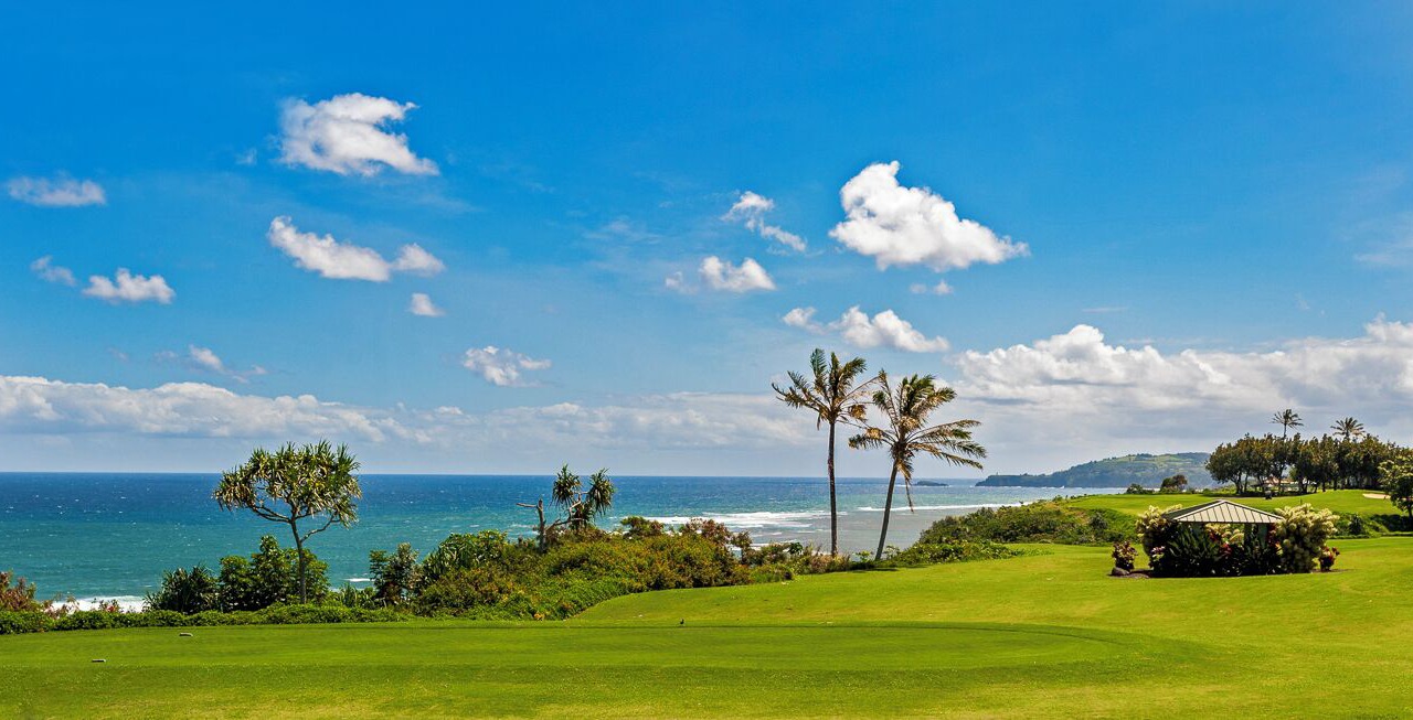 Photo of Others in Princeville