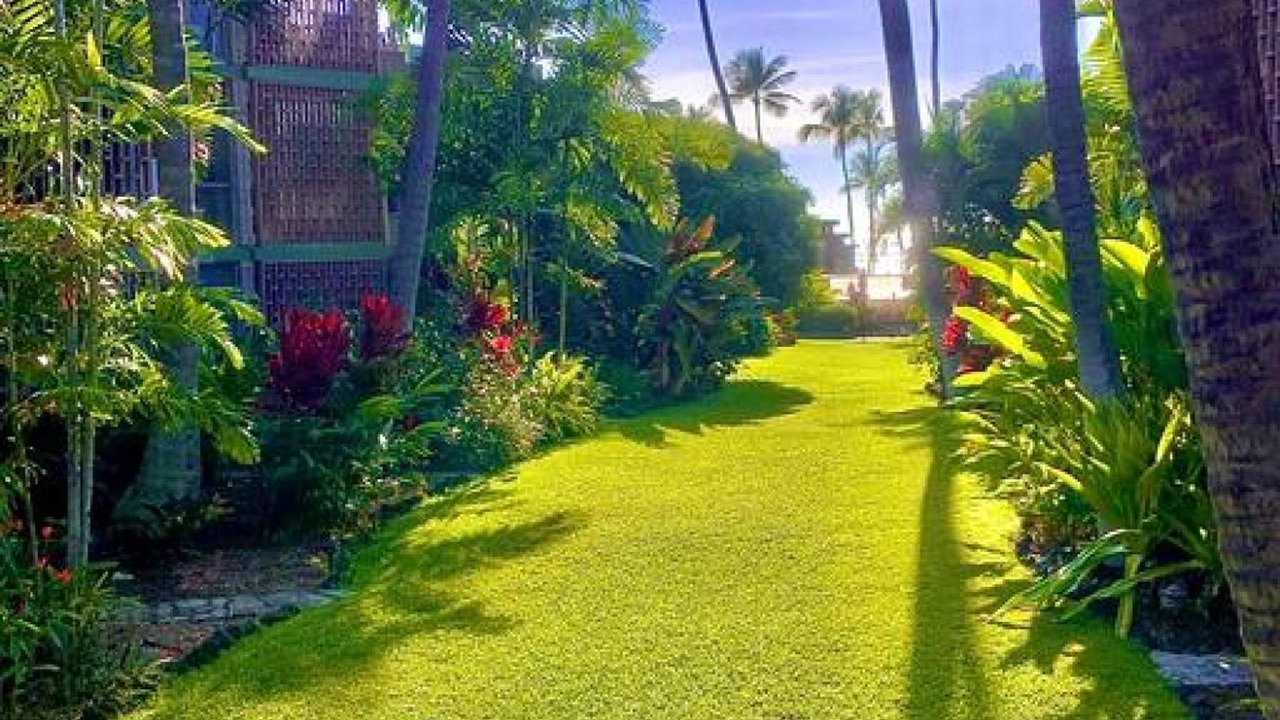 Photo of Others in Kailua-Kona