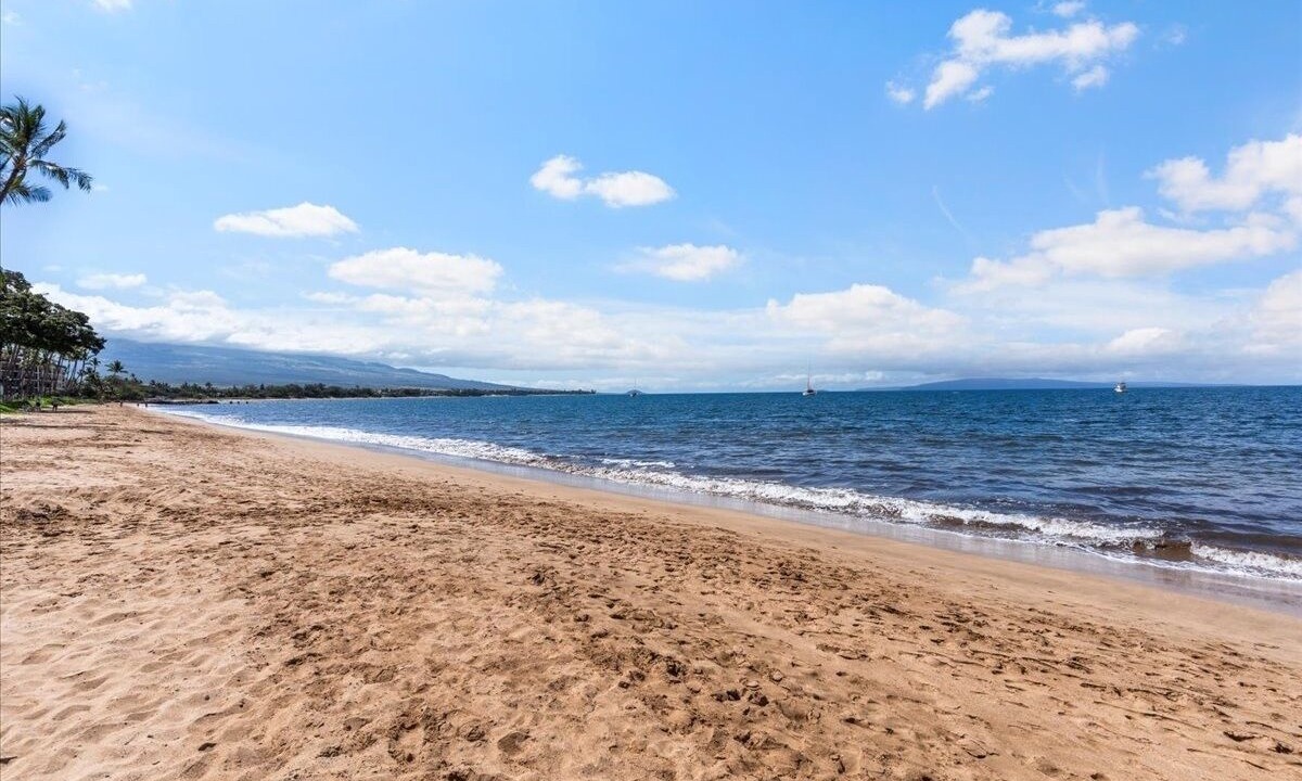 Photo of Others in Kihei