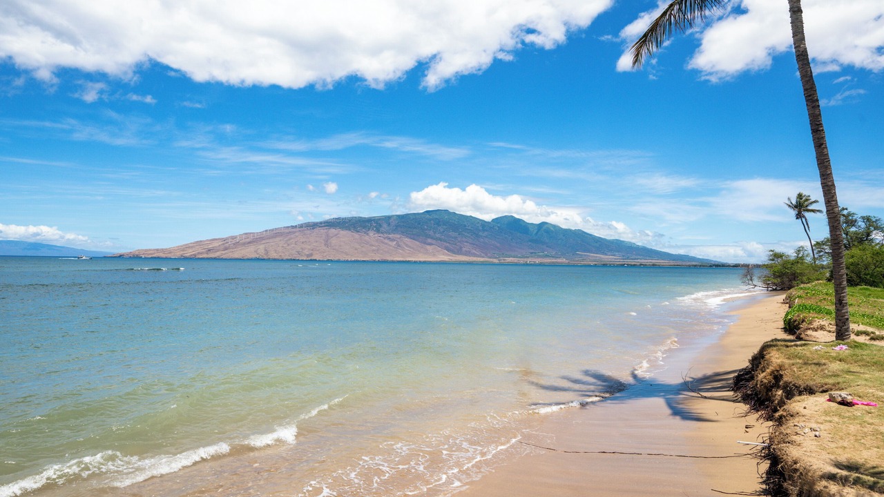 Photo of Others in Kihei