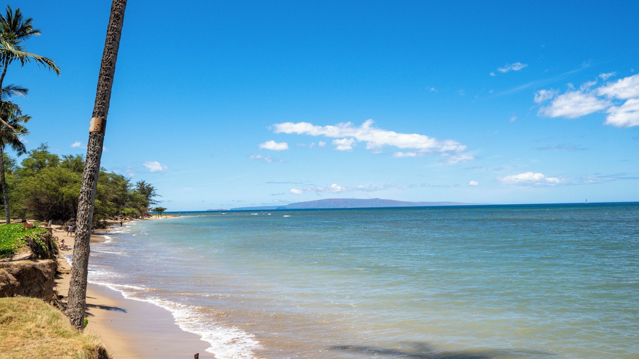 Photo of Others in Kihei