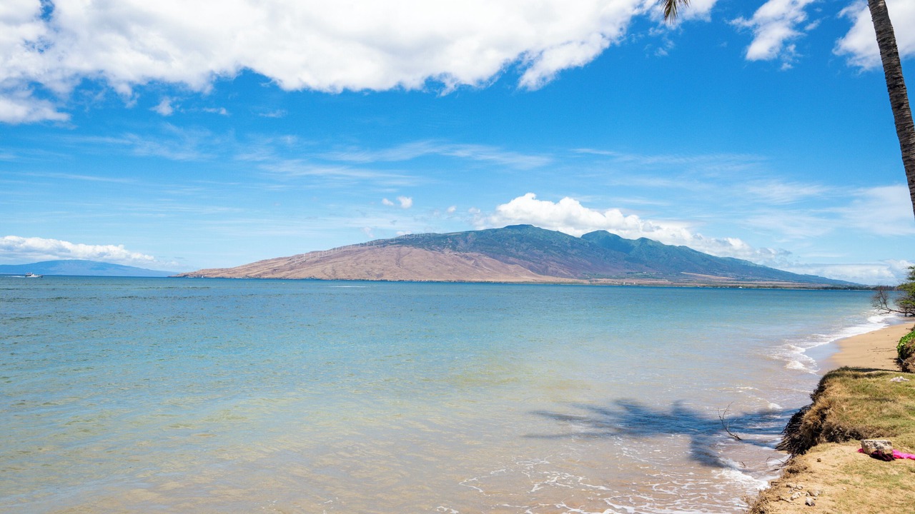 Photo of Others in Kihei