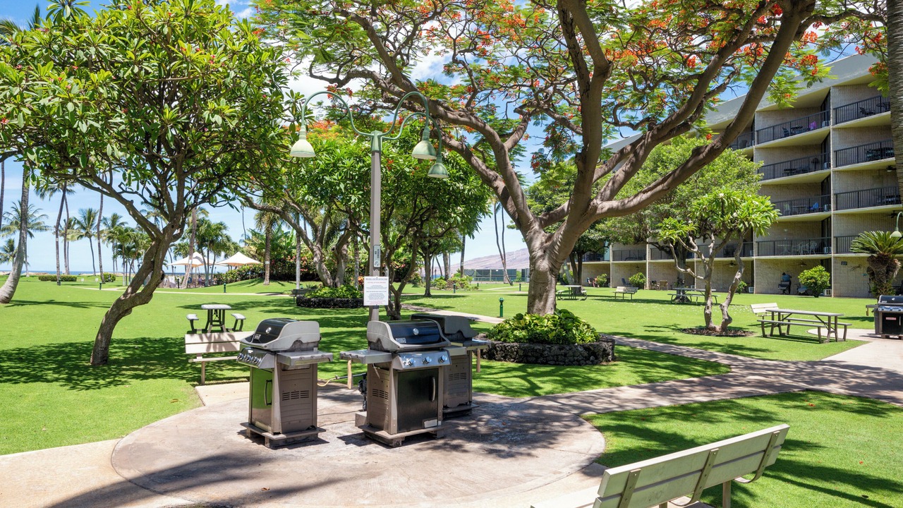 Photo of Outdoor in Kihei