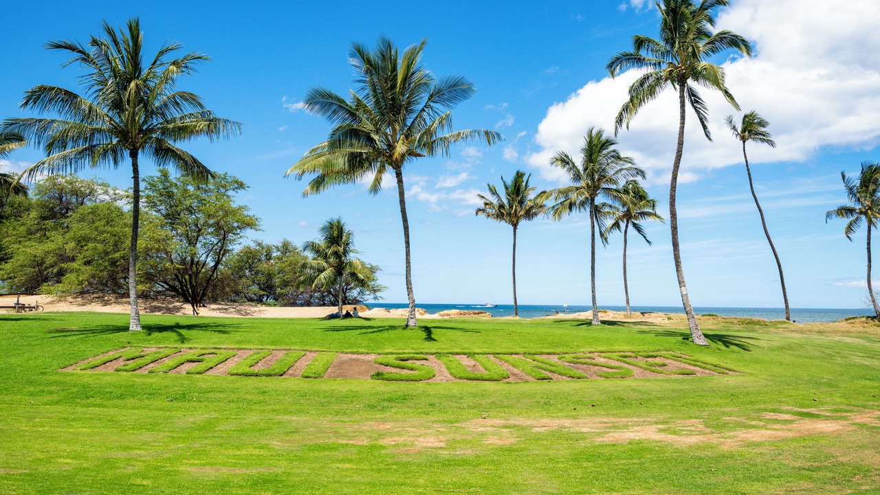 Photo of Outdoor in Kihei