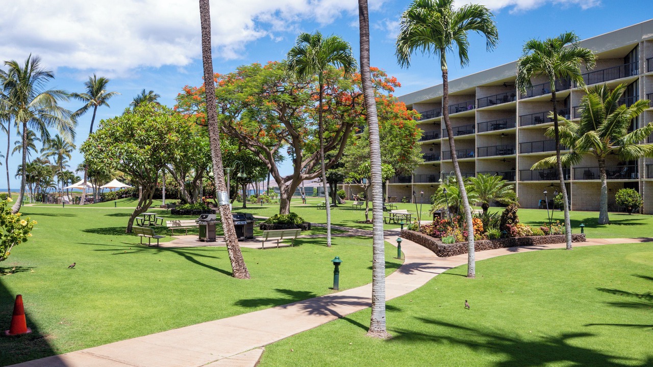 Photo of Outdoor in Kihei