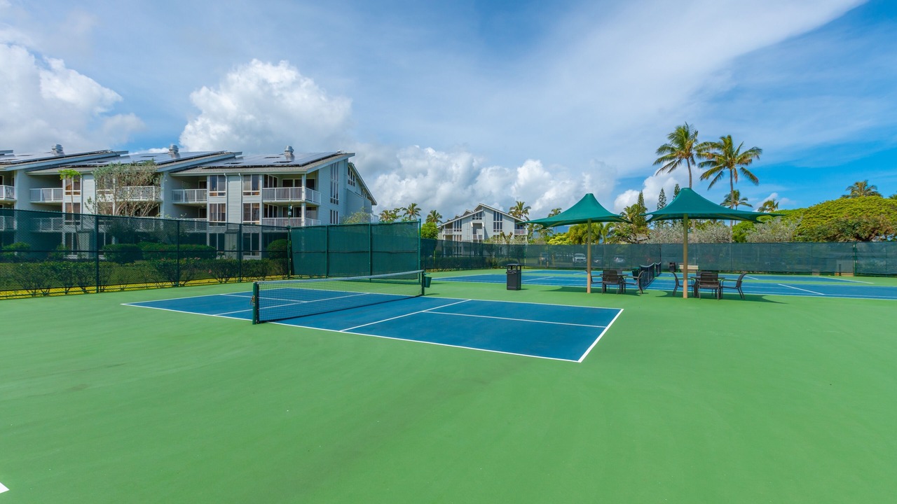 Photo of Others in Princeville