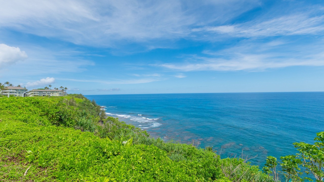 Photo of Outdoor in Princeville