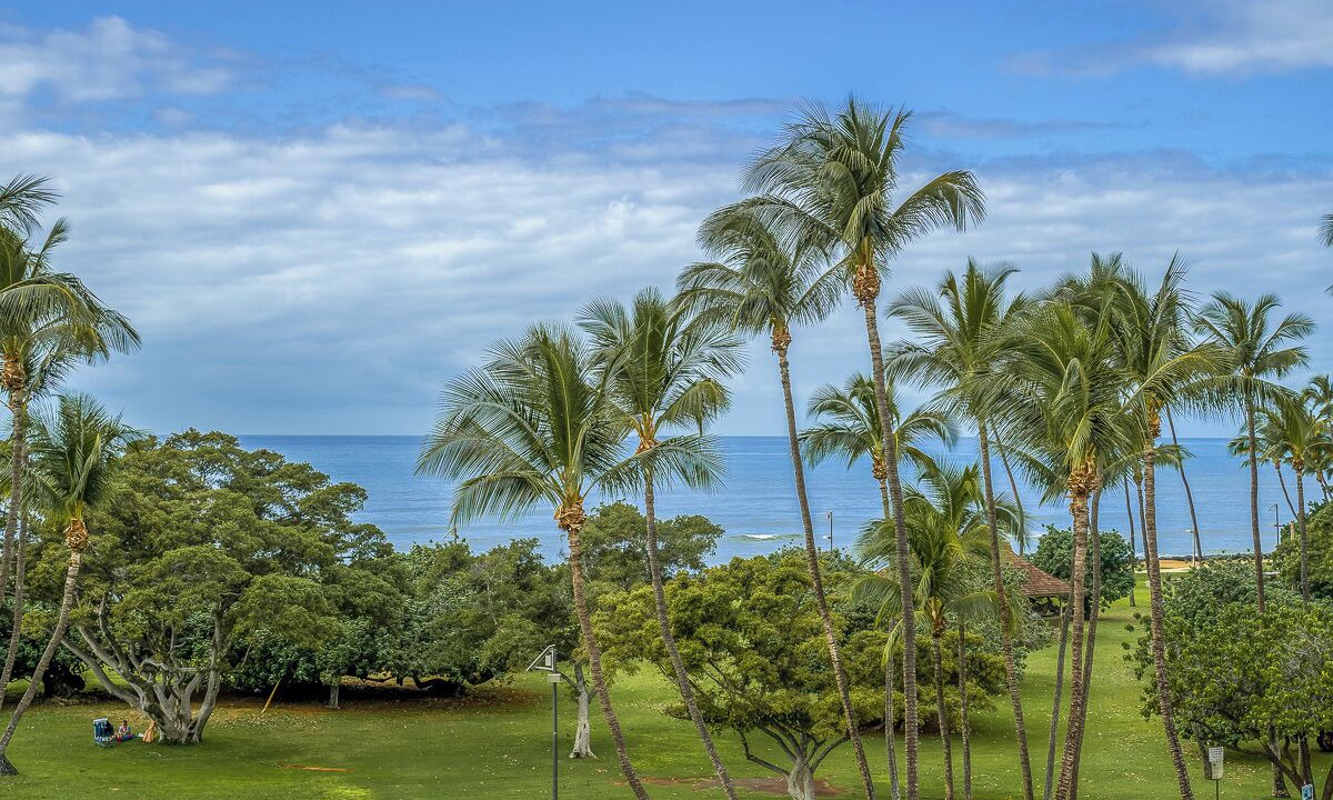 Photo of Others in Kihei