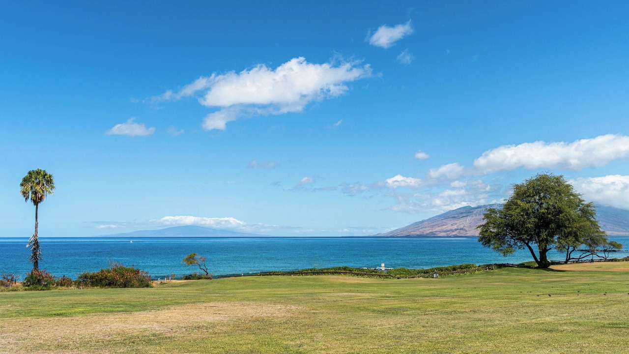 Photo of Others in Kihei
