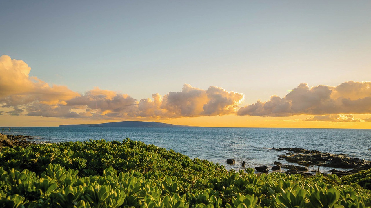Photo of Others in Kihei