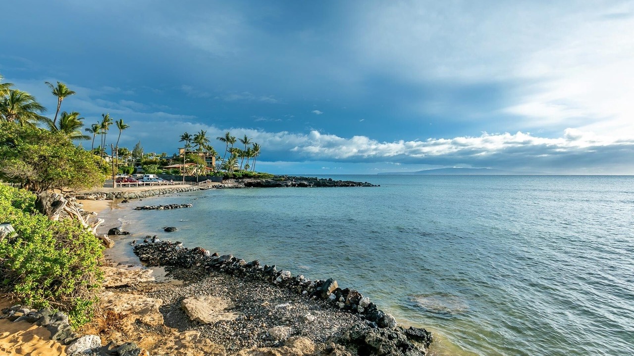 Photo of Others in Kihei