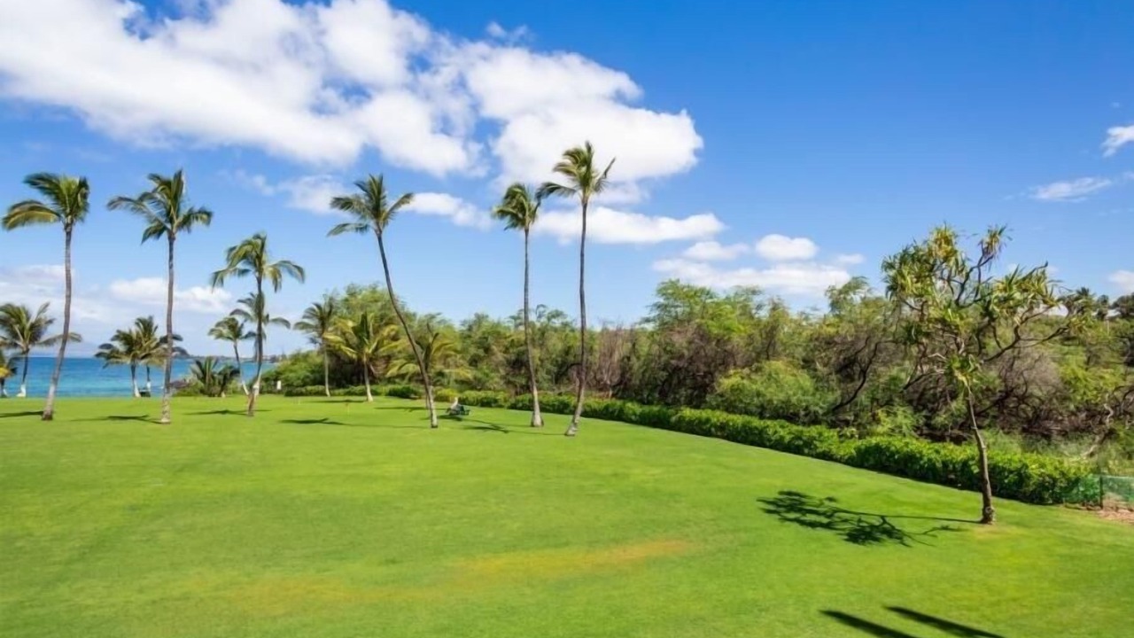 Photo of Others in Kihei