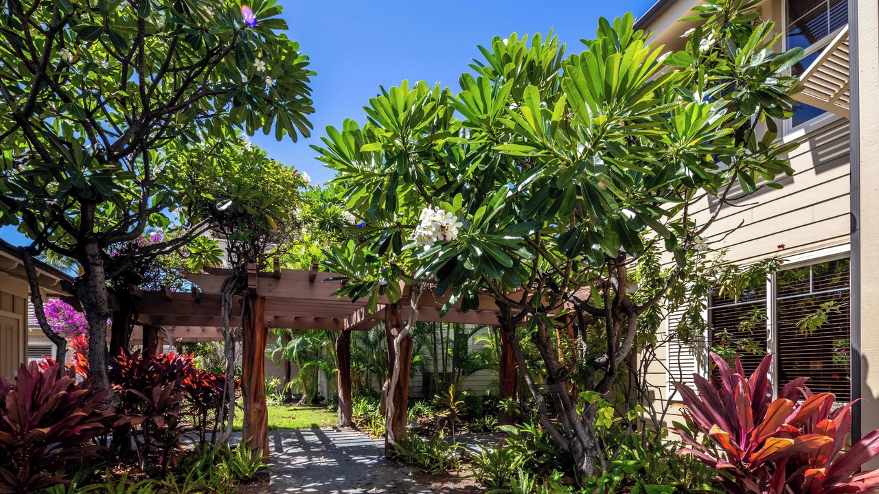 Photo of Outdoor in Waikoloa