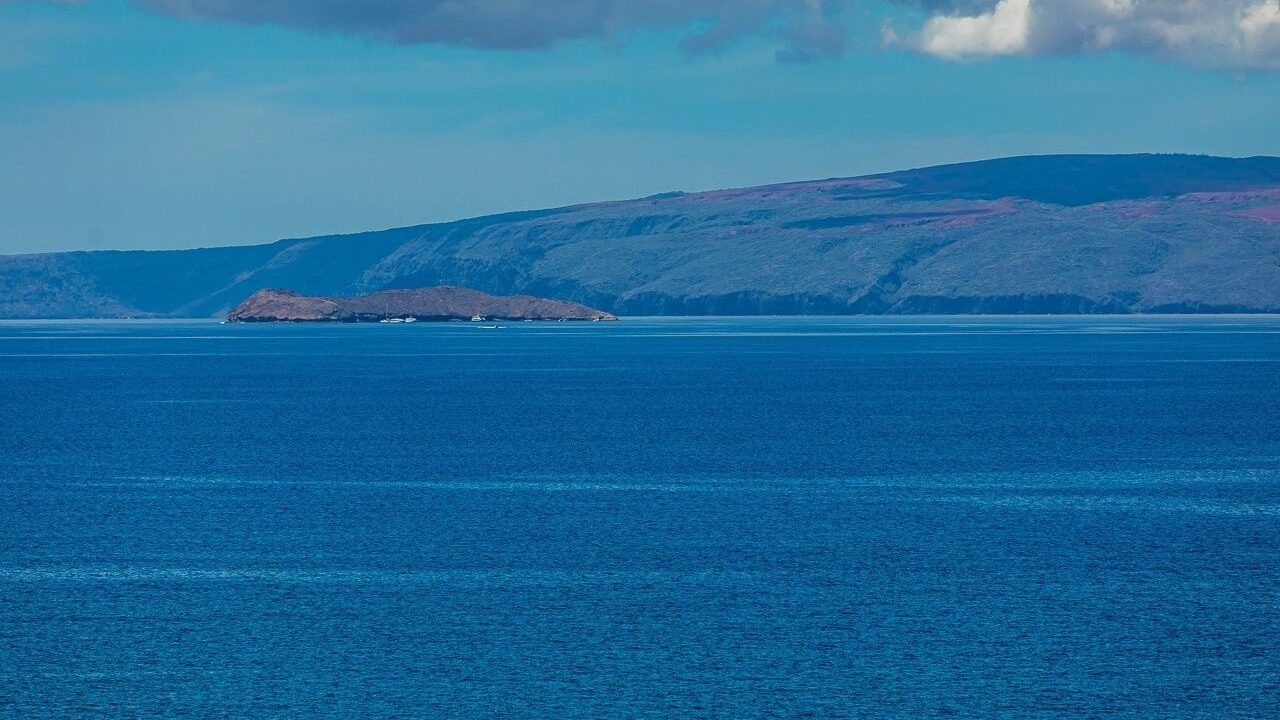 Photo of Others in Kihei