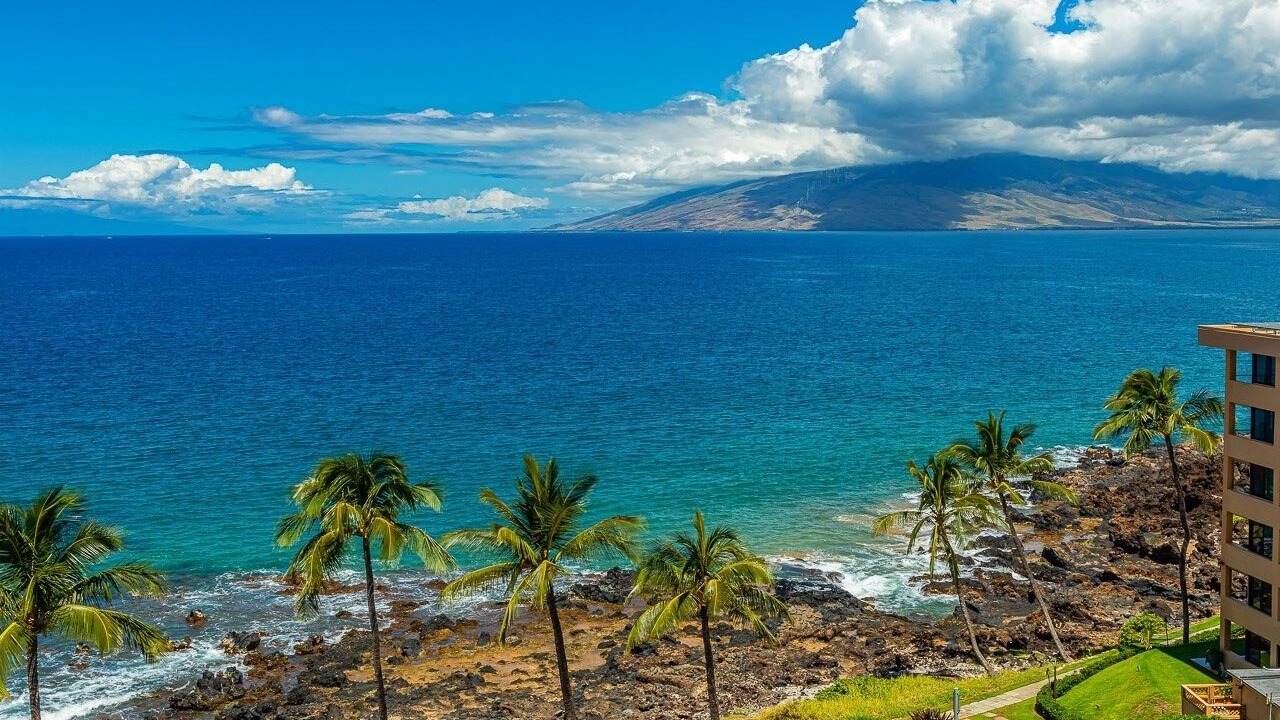 Photo of Others in Kihei