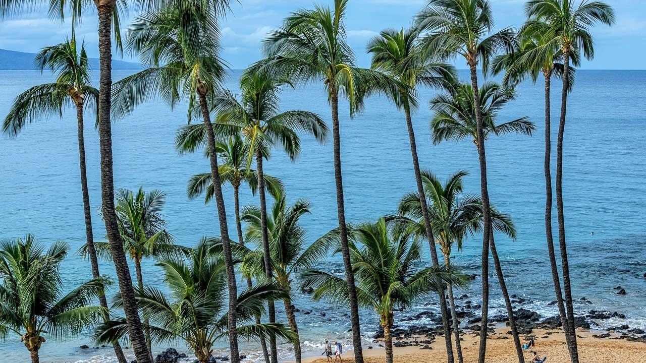 Photo of Others in Kihei