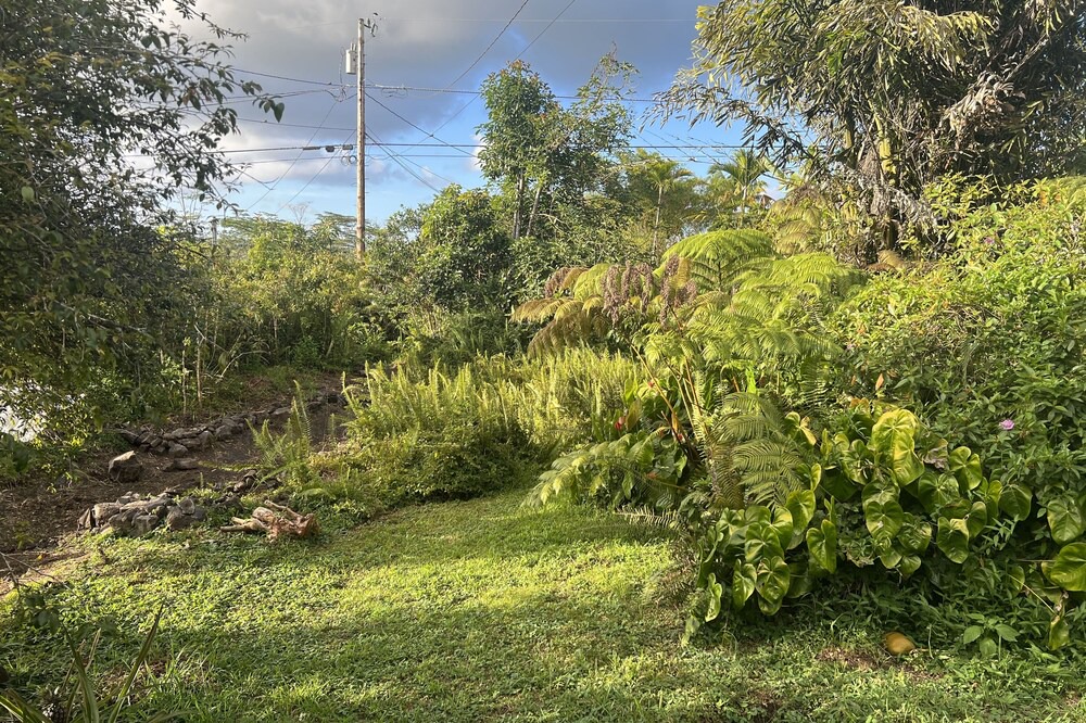 Photo of Outdoor in Keaau