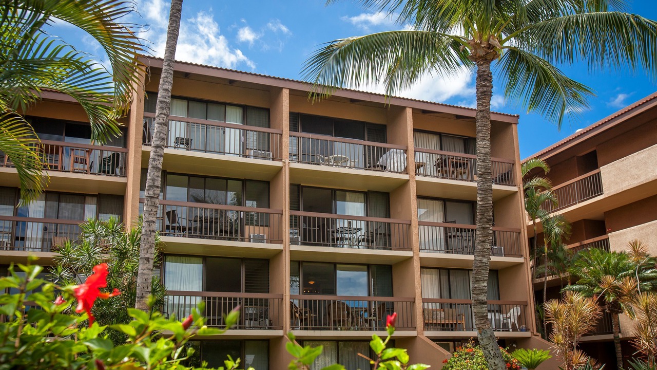 Photo of Others in Kihei