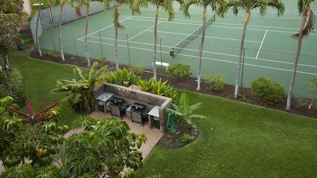 Photo of Outdoor in Kihei