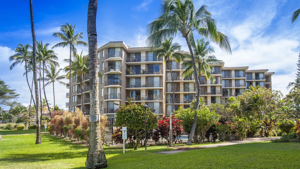 Photo of Outdoor in Kihei