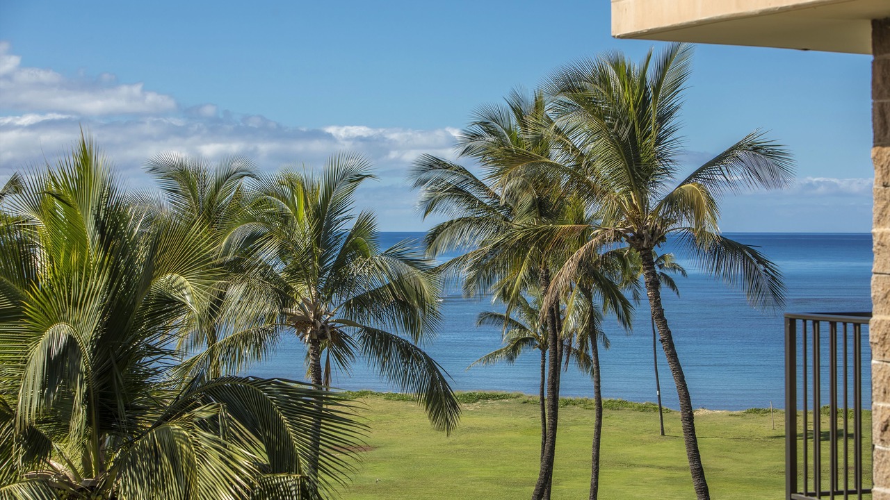 Photo of Others in Kihei