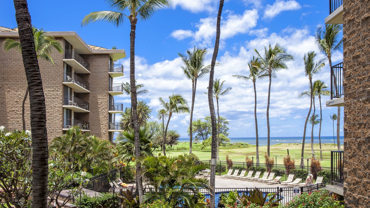 Photo of Others in Kihei