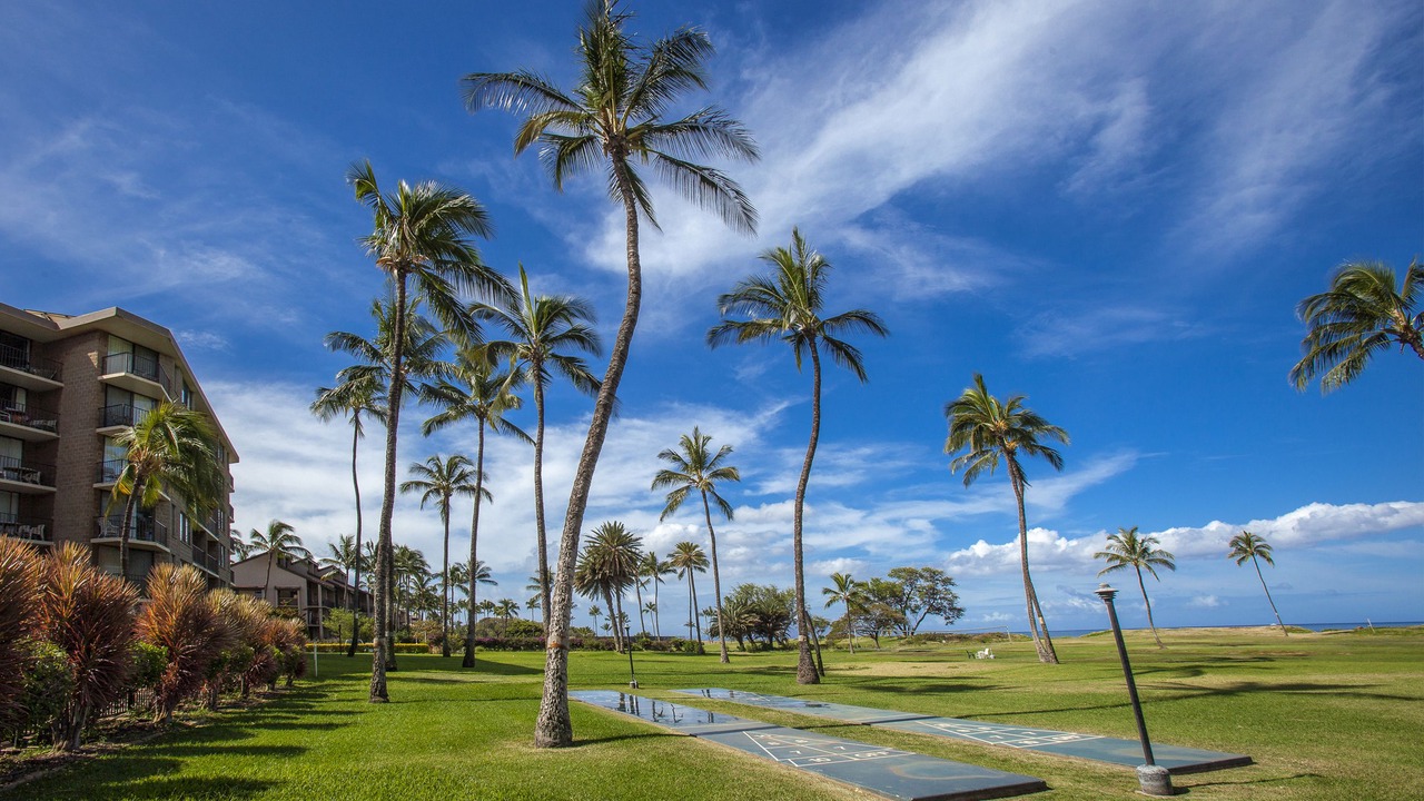 Photo of Outdoor in Kihei