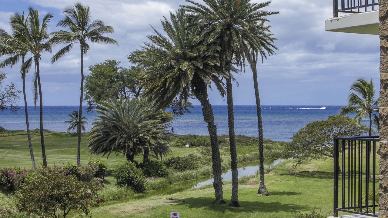 Photo of Others in Kihei