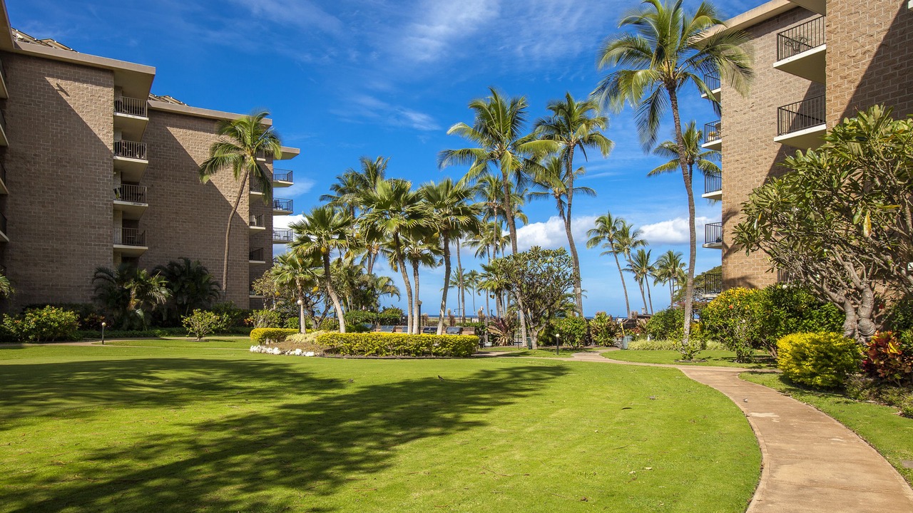 Photo of Outdoor in Kihei