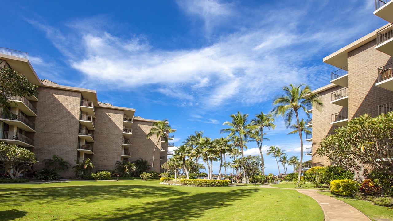 Photo of Outdoor in Kihei