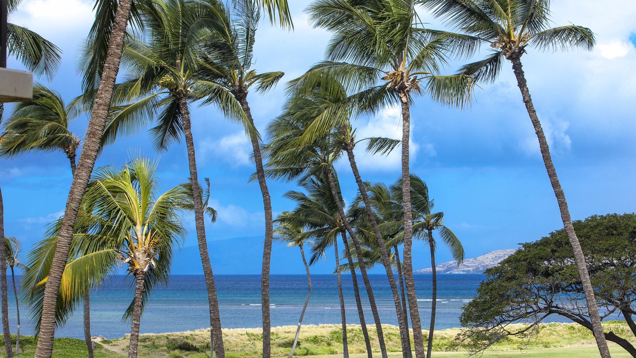 Photo of Others in Kihei