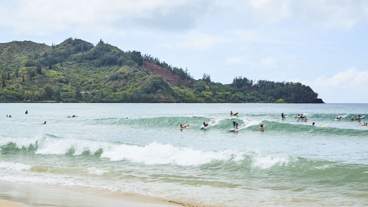 Photo of Others in Princeville
