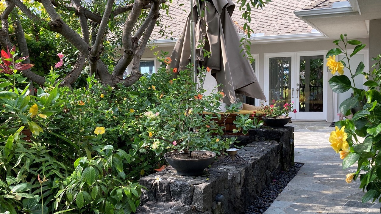Photo of Outdoor in Kailua-Kona