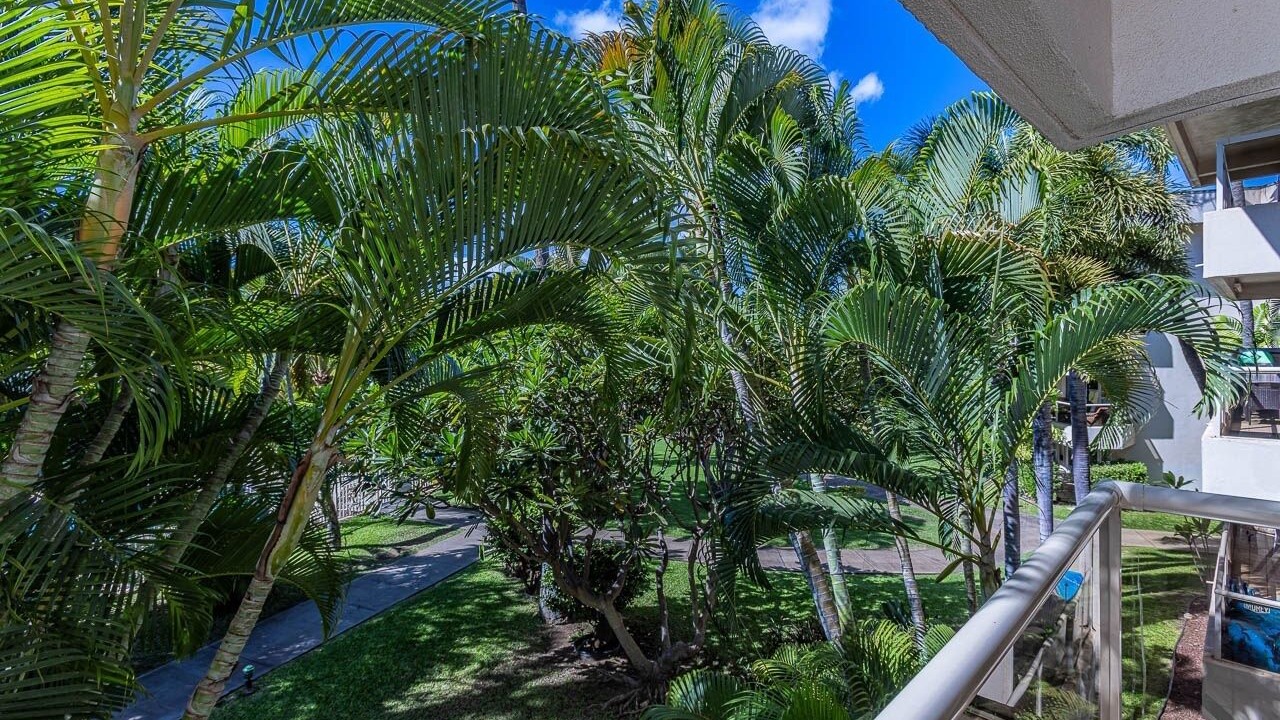 Photo of Outdoor in Kihei